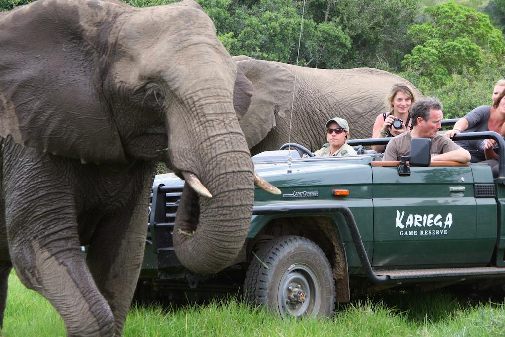 Kariega Game Reserve River Lodge Kenton on Sea Buitenkant foto
