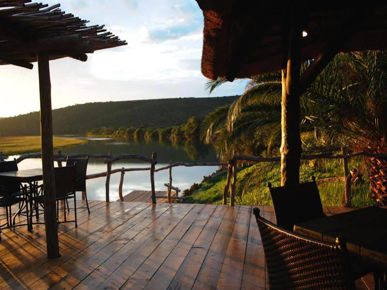 Kariega Game Reserve River Lodge Kenton on Sea Buitenkant foto
